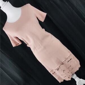 NWT@$139! ANN TAYLOR PETITES! DUSTY PINK KNIT, EMBROIDERED SWEATER DRESS!  SZ SP